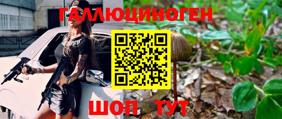 Галлюциногенные грибы MAGIC MUSHROOMS  Вход с VPN  Мытищи  Псилоцибиновые грибы Cubensis 