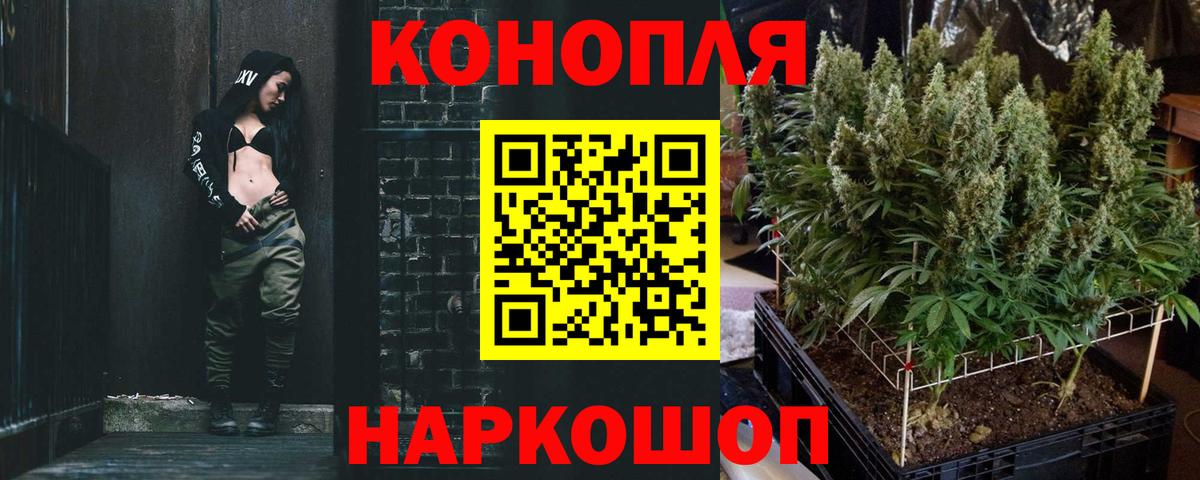 Шишки марихуана семена Мытищи